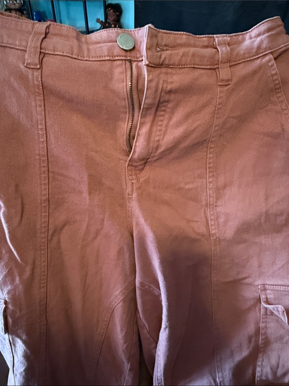 Cato Cargo Pants Rust Terracotta Stretch Size 12
